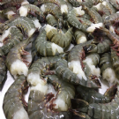 Cerco forniture di pesce del vietnam || approvvigionamento di frutti di mare vietnamiti