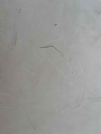 Vendita groppone a cuoio naturale pomiciato da mm. 4,5