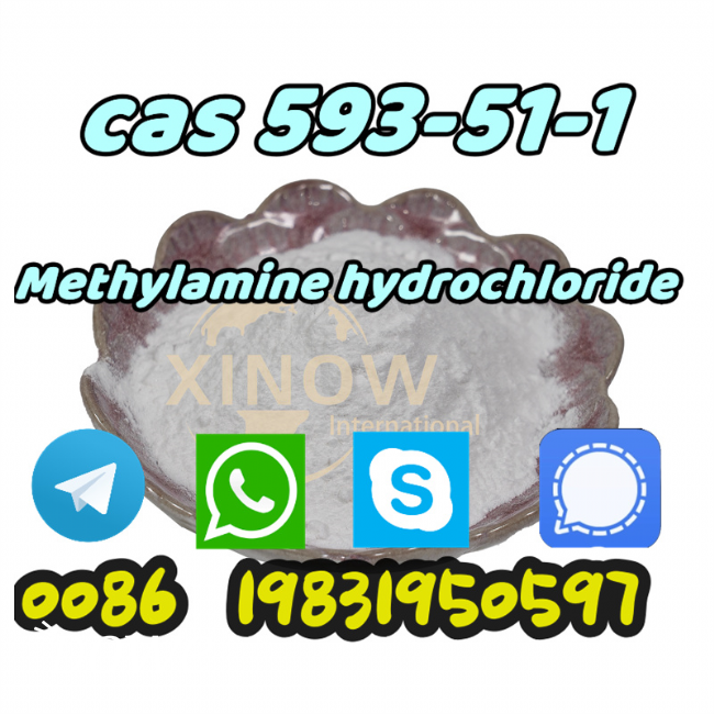 Vendita  methylamine hydrochloride powder cas 593-51-1 cas no.593-51-1