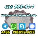 Vendita methylamine hcl cas 593-51-1