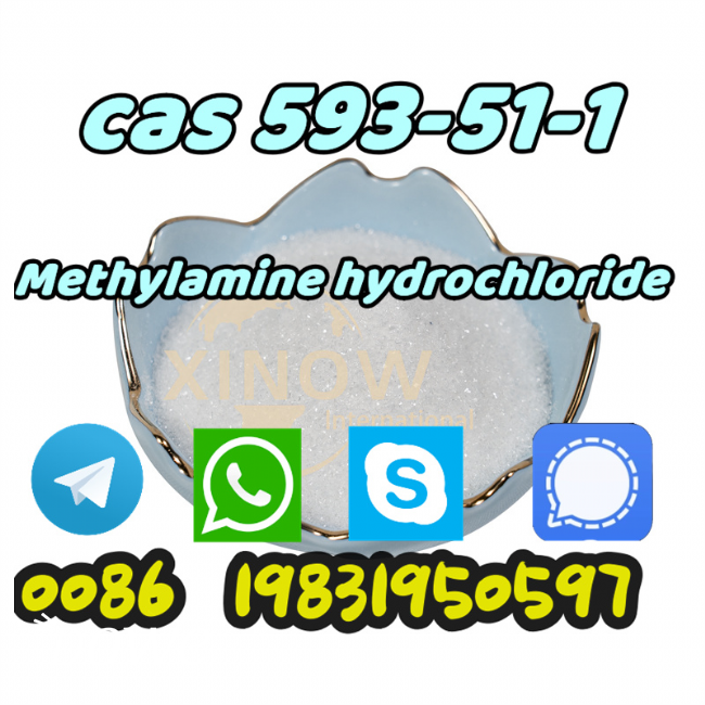 Vendita  best price cas 593-51-1 methylamine hydrochloride 593-51-1