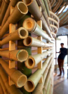 Vendita vendo canne di bambù bambu con diametro da 1 a 10 cm. 