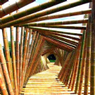 Vendita vendo canne di bambù bambu con diametro da 1 a 10 cm. 