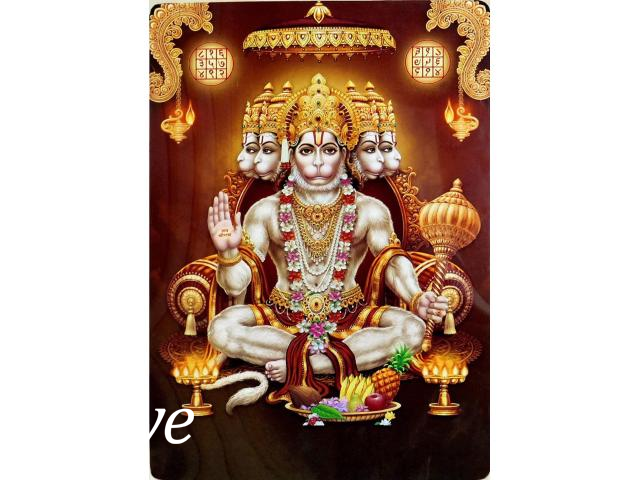 Regalo indian famous astrologer guru ji +91-8557948075