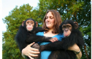 scimpanzé maschio e femmina bambino in adozione