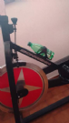 bike spinning schwinn